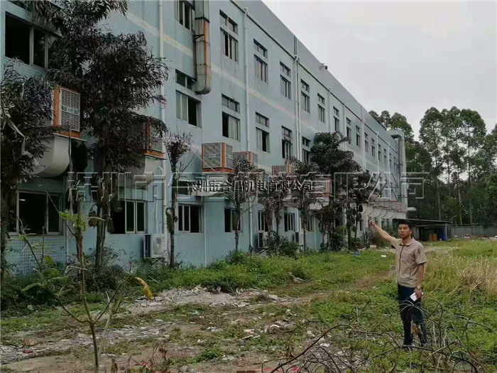 香蕉视频黄在线