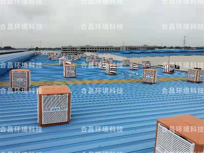 香蕉视频免费在线香蕉视频黄在线