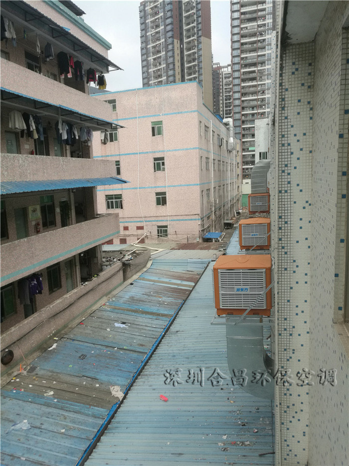 香蕉视频免费在线香蕉视频黄在线RDF-23C