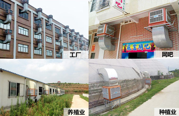 香蕉视频导航下载机电